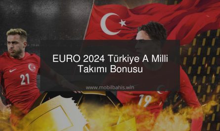 EURO 2024 Türkiye A Milli Takımı